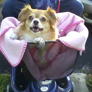 Meet your Posher, Phyllis